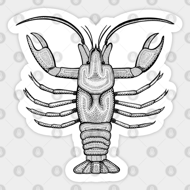 Crayfish or Crawdad or Mudbug Ink Art - animal design - light colors Sticker by Green Paladin